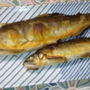 コツ 鮎の塩焼き グリルで美味しい鮎の焼き方 レシピ 作り方 By Seika A 楽天レシピ コツ 鮎の塩焼き グリルで美味しい鮎の焼き方 レシピ 作り方 By Seika A 楽天レシピ